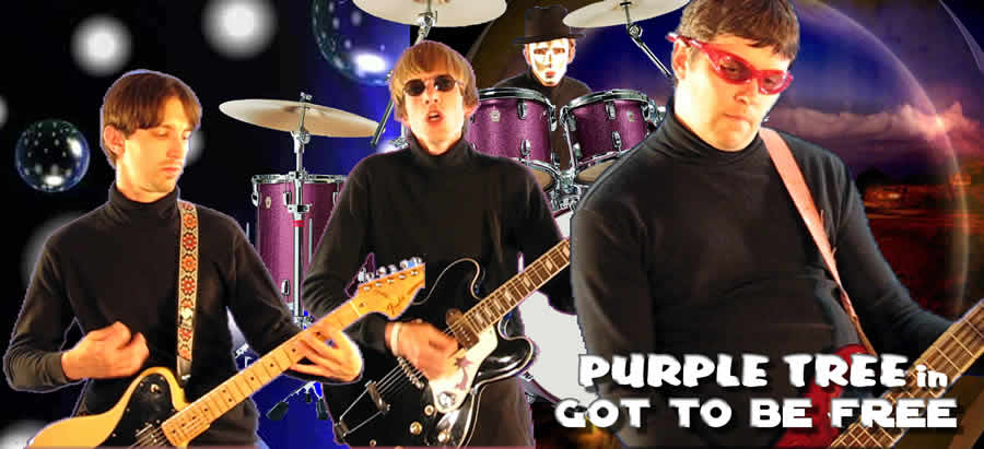Purple Tree Band - Got to be Free